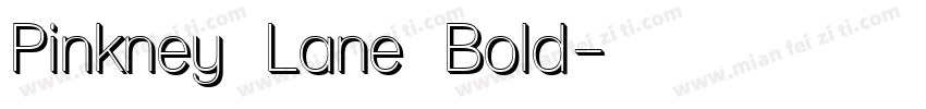 Pinkney Lane Bold字体转换